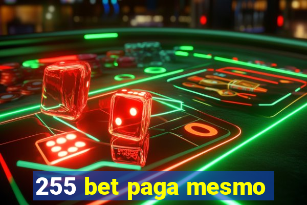 255 bet paga mesmo